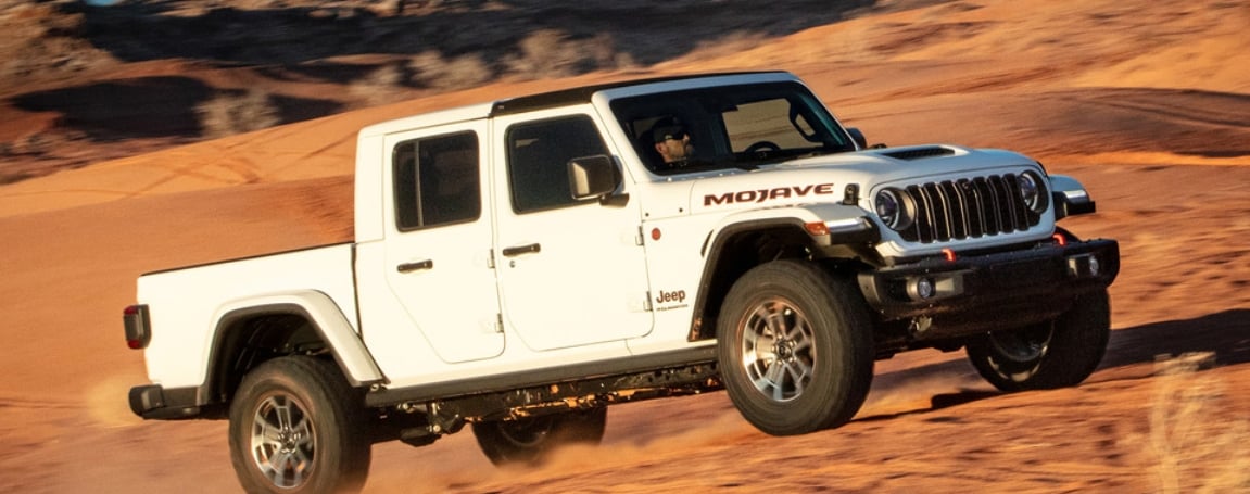 Impressive Efficiency Of Gladiator