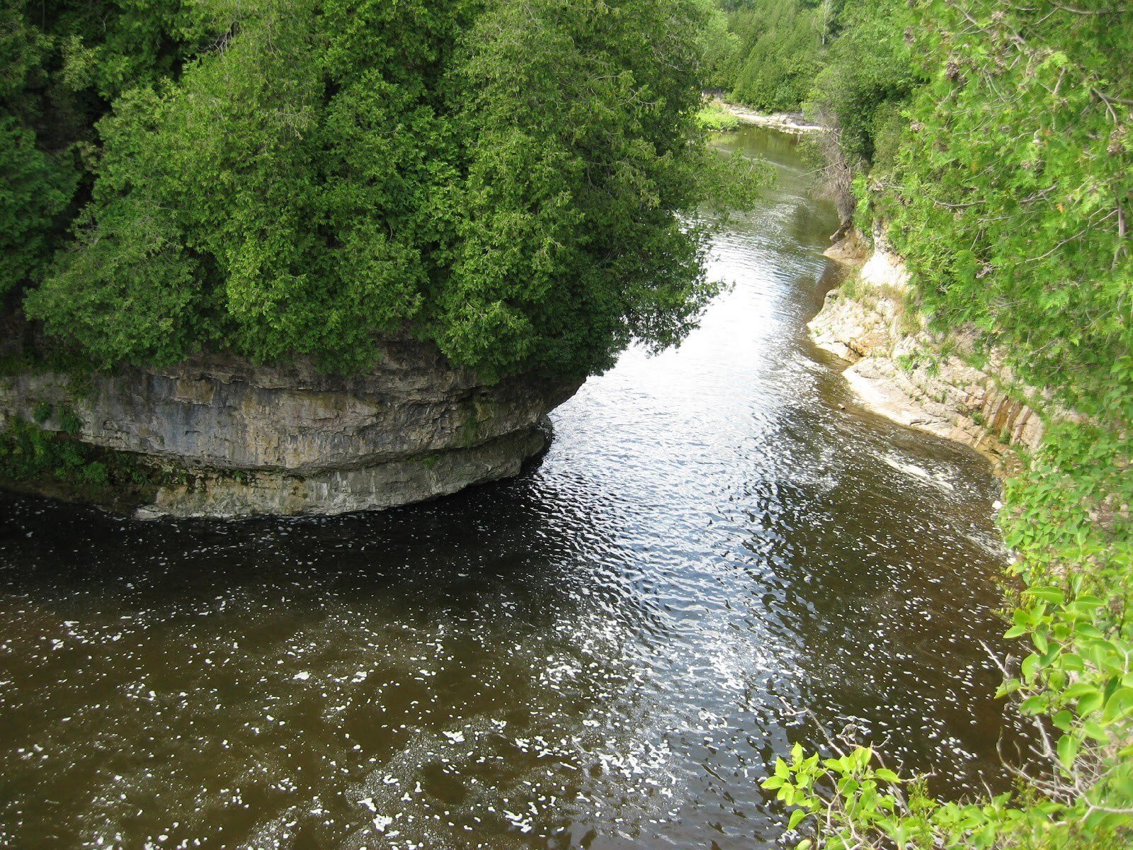 Tubing Adventure in Elora Gorge