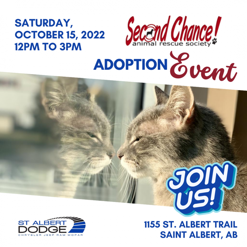 Second Chance Animal Rescue Event Sponsorship