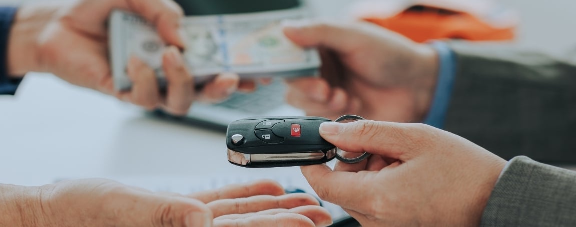 Basic Warranty Explained