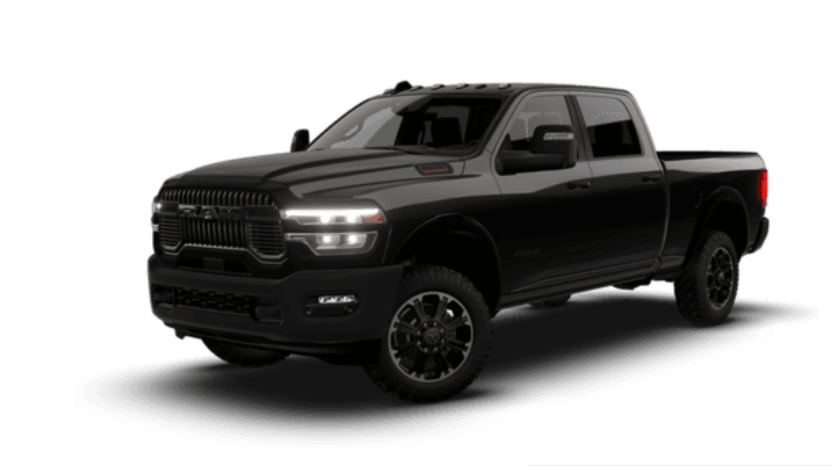 Rebel Bold and Capable