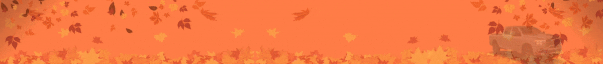 Au Website Banner